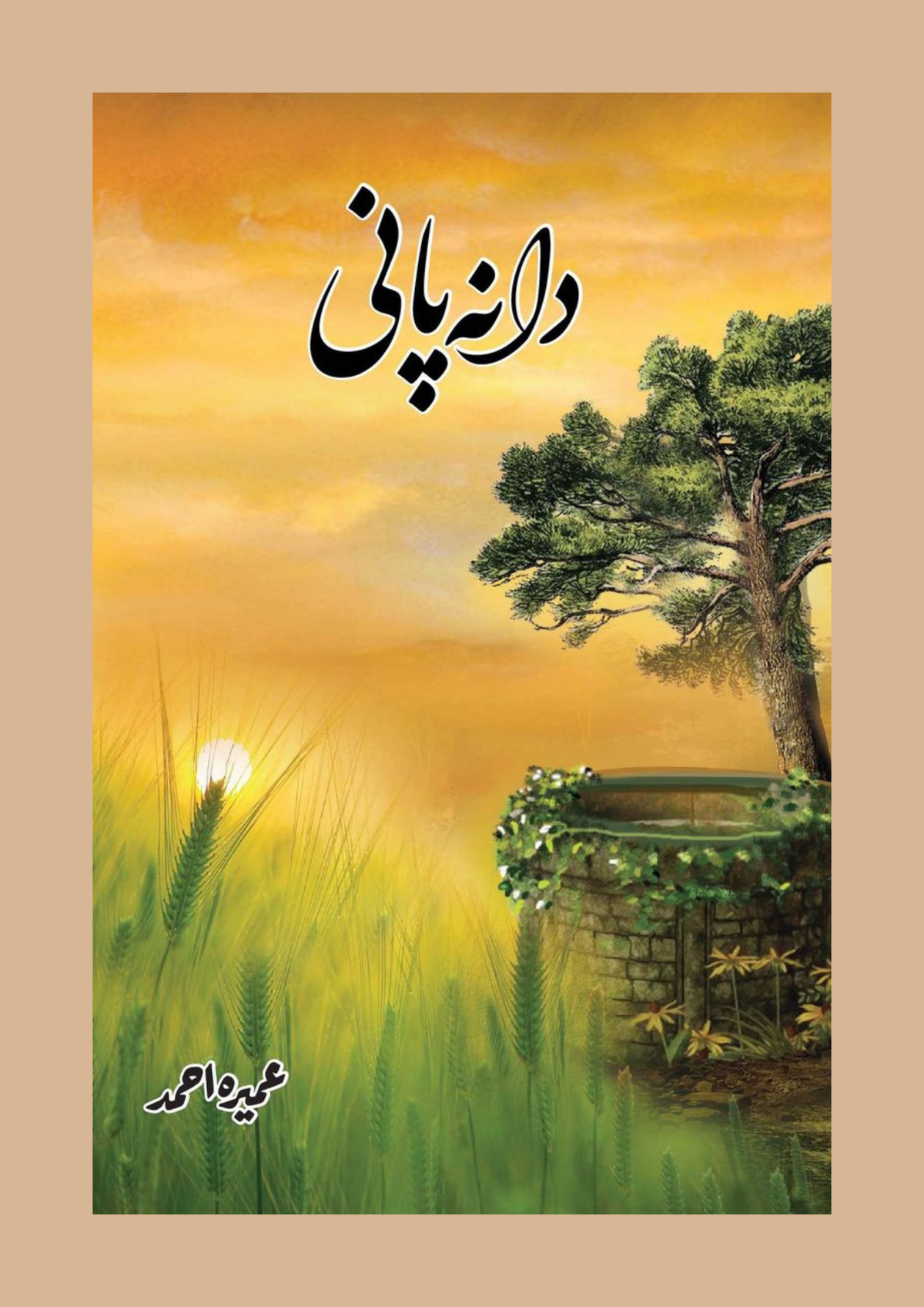 Dana Paani / دانہ پانی — Umera Ahmed